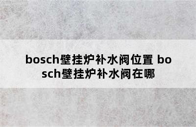 bosch壁挂炉补水阀位置 bosch壁挂炉补水阀在哪